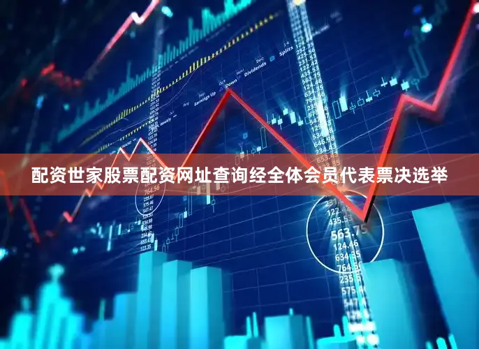 配资世家股票配资网址查询经全体会员代表票决选举