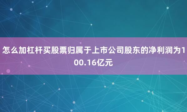 怎么加杠杆买股票归属于上市公司股东的净利润为100.16亿元