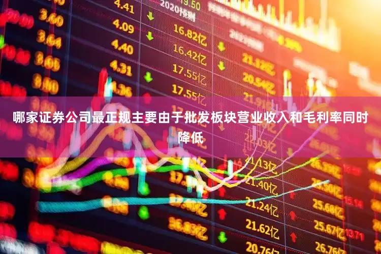 哪家证券公司最正规主要由于批发板块营业收入和毛利率同时降低