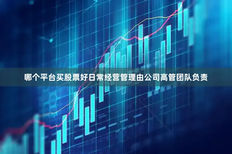 哪个平台买股票好日常经营管理由公司高管团队负责