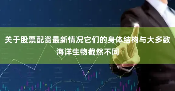 关于股票配资最新情况它们的身体结构与大多数海洋生物截然不同