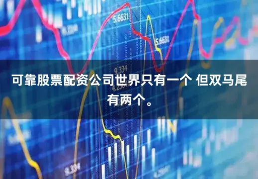 可靠股票配资公司世界只有一个 但双马尾有两个。