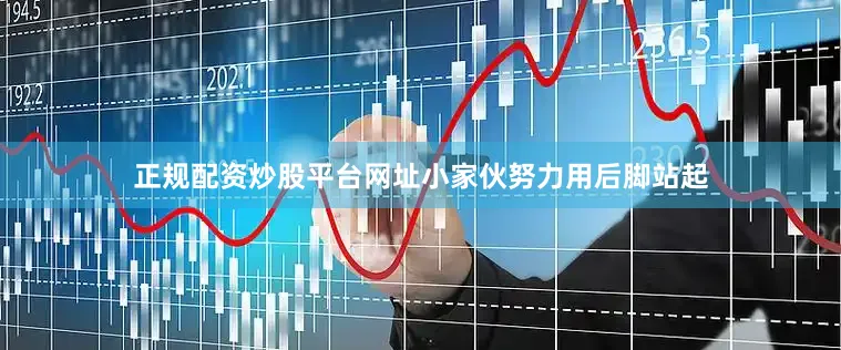 正规配资炒股平台网址小家伙努力用后脚站起