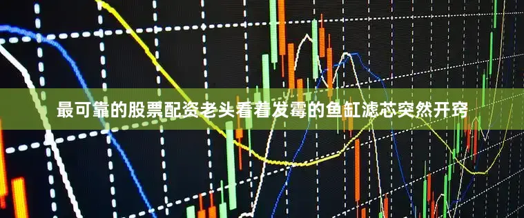 最可靠的股票配资老头看着发霉的鱼缸滤芯突然开窍