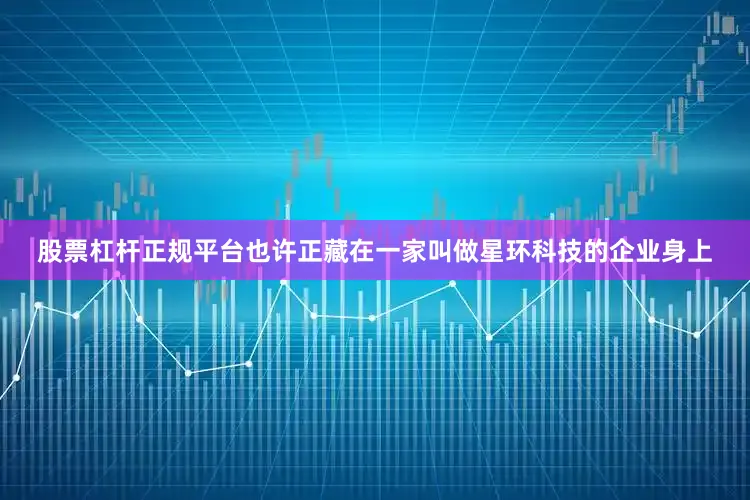 股票杠杆正规平台也许正藏在一家叫做星环科技的企业身上