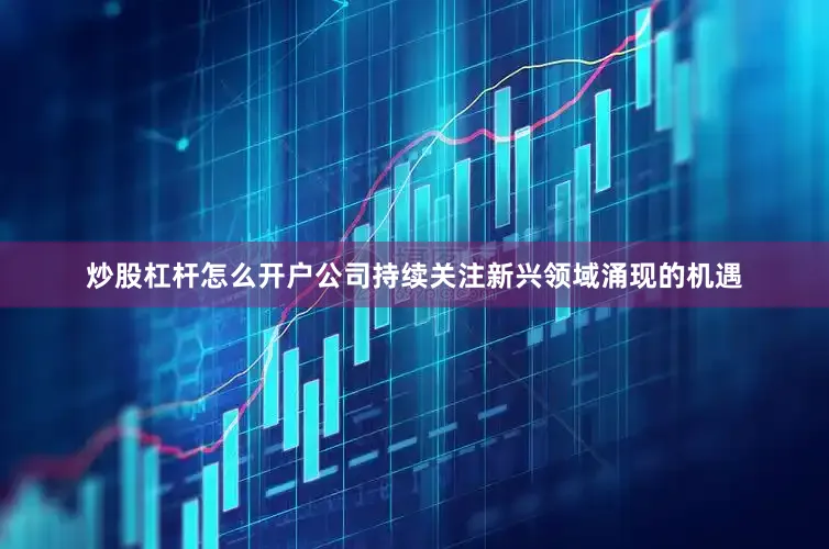 炒股杠杆怎么开户公司持续关注新兴领域涌现的机遇